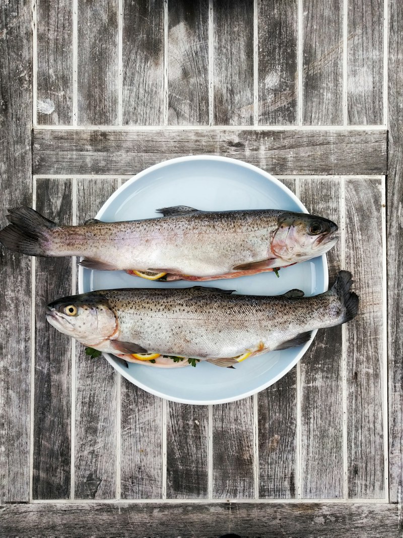 Seafood