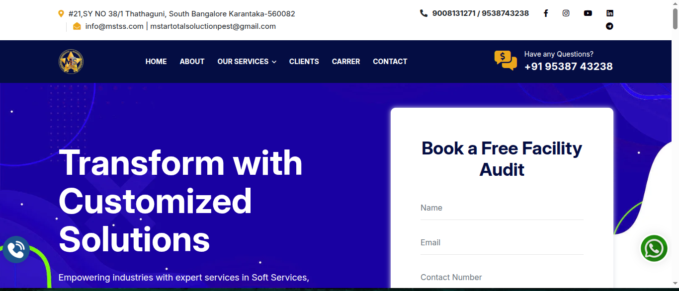 mstss.com website preview