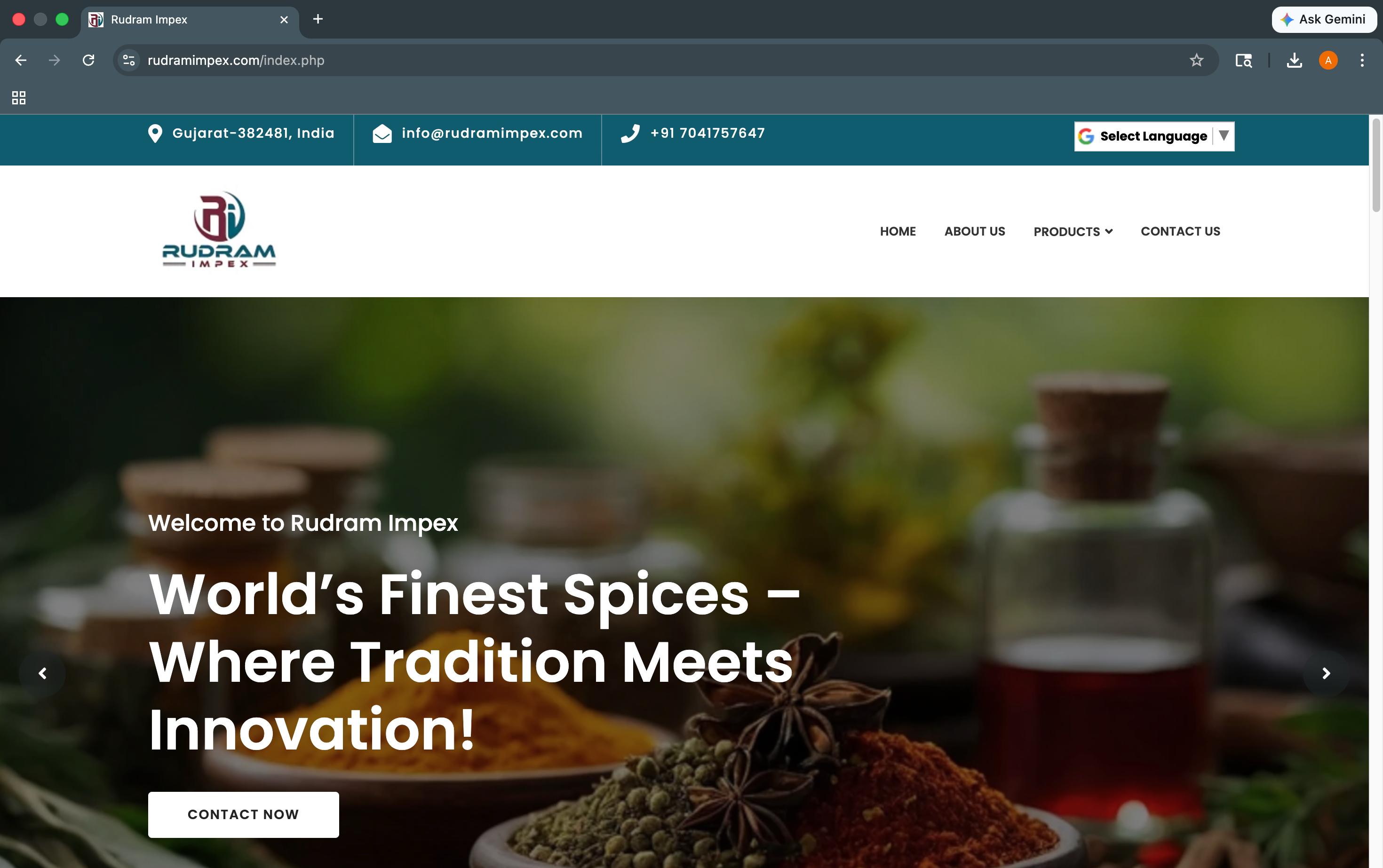 rudramimpex.com website preview
